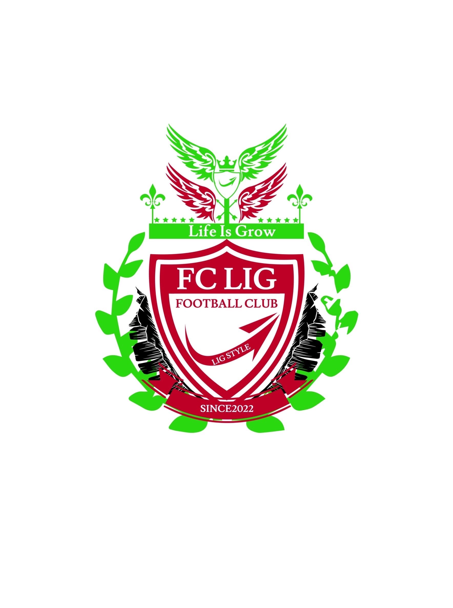 FCLIG サッカープログラムの活動イメージ